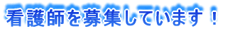 �����̎ʐ^�ē��Q
